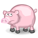 Swino, the beer swilling pig from Australia