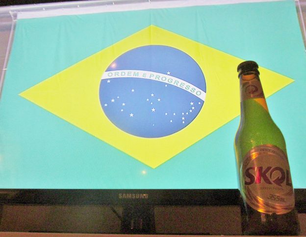 North n South American Beer