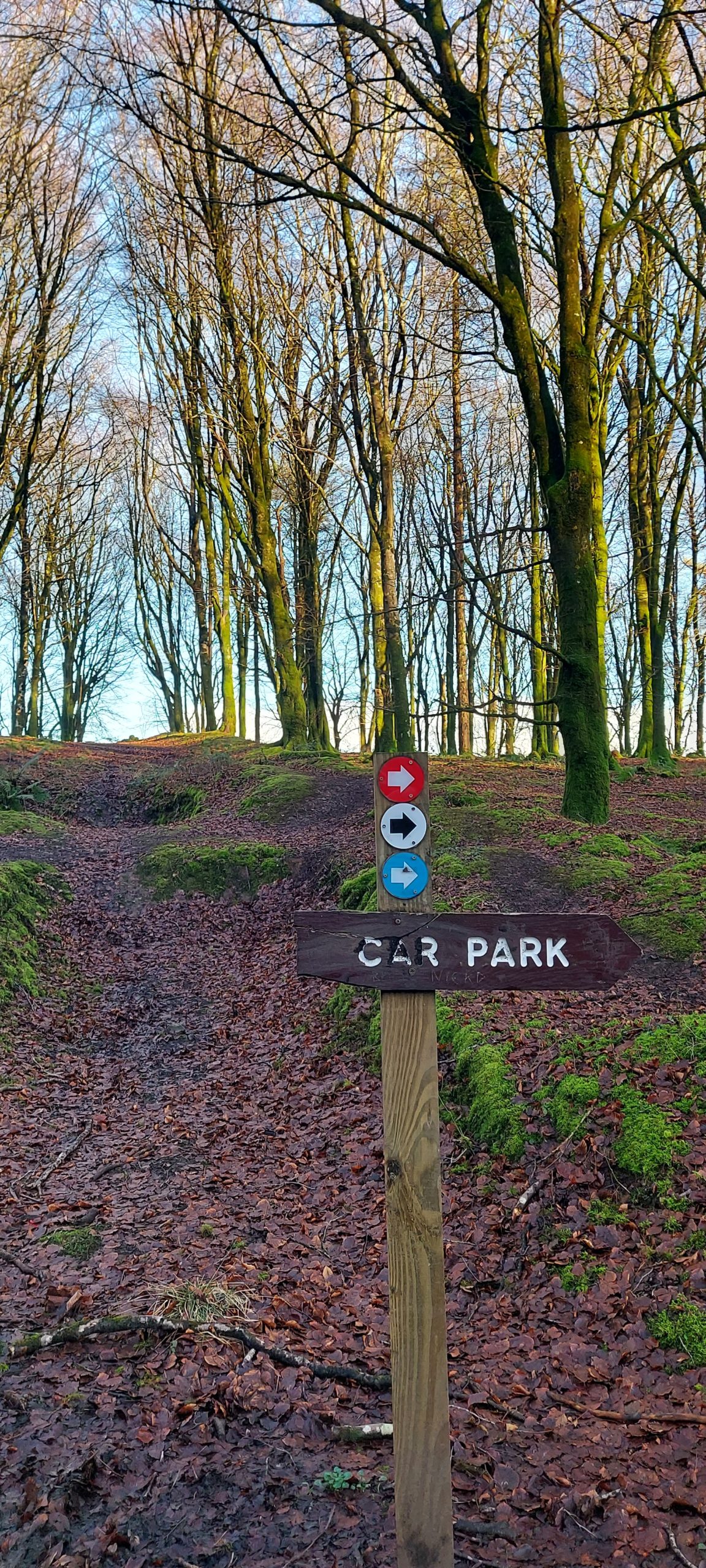 Ireland County Top Challenge